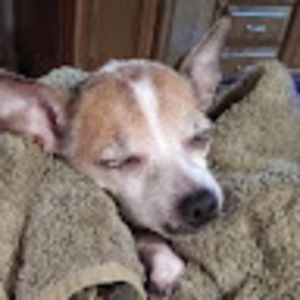 Meet your Posher, Cynthia